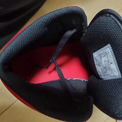 NIKEAIR JORDAN  1の画像