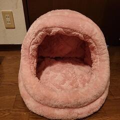 相談中　猫　ベッド　猫用品、キャット