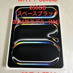 iPad Pro 13インチ Wi-Fi ＋ Cellular ...