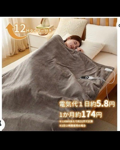 電気毛布【大判】