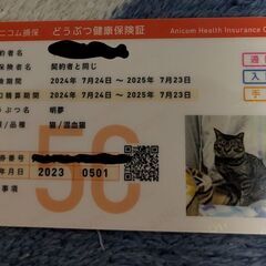 エイズキャリアの男の子 − 千葉県