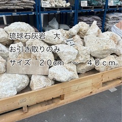 琉球石灰岩　大