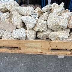 琉球石灰岩　大の画像