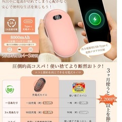 新品　PSE認証済み　充電式カイロの画像