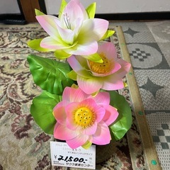 新品 盆提灯 n