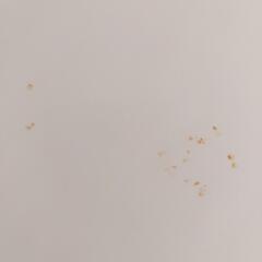 風呂の蓋の画像