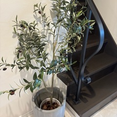 フェイクグリーン　観葉植物　オリーブ　植木鉢