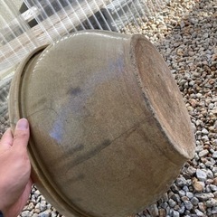 メダカ飼育用　火鉢の画像