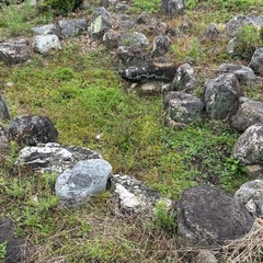 庭石いろいろの画像