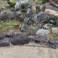 庭石いろいろの画像