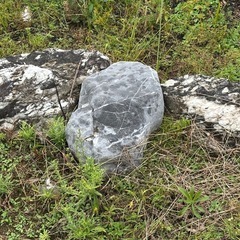 庭石いろいろの画像