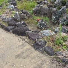 庭石いろいろの画像