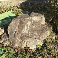 庭石