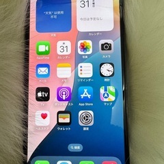 iPhone 13 Pro 256GB  シェラブルー SIMフリー「希少美品」