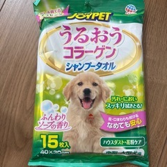 柴犬用　ケアグッズの画像