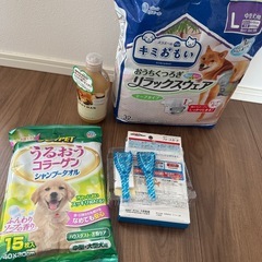 柴犬用　ケアグッズ