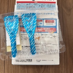 柴犬用　ケアグッズの画像