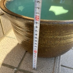 睡蓮鉢
の画像