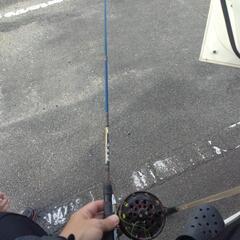 ヘチ竿