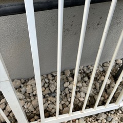 ペット、ベビーゲートの画像