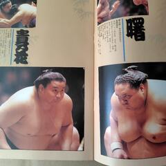 H10年福島大相撲巡業の年のパンフの画像