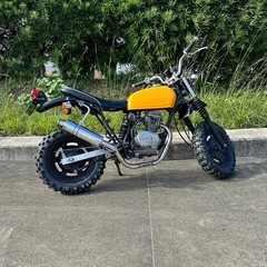 エイプ50　の画像