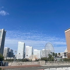 （みなとみらい・馬車道・日本大通り・元町中華街）小さい子供がいる...