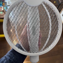 ハエ　蚊　叩きの画像