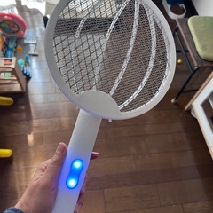 ハエ　蚊　叩き