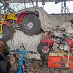 ヤマハパッソーラの画像