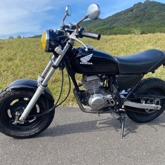 エイプ50キャブレターモデル　前後タイヤ新品　整備済みの画像