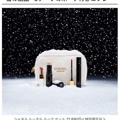 CHANELクリスマス限定コフレ　CHANELポーチ　CHANE...
