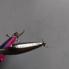 DAIWA、Casper.などルアーまとめの画像