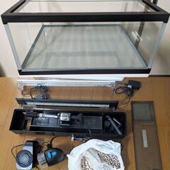 【使用1ヶ月美品+おまけ多数】らんちゅう水槽60×45×30cm