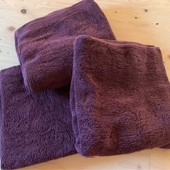 今治タオル　バスタオル大判3枚セット