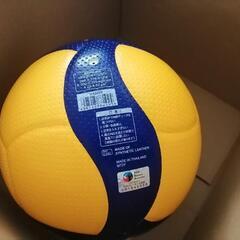 バレーボールの画像