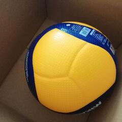バレーボールの画像