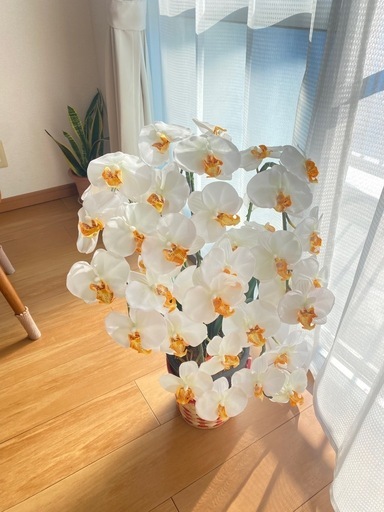 胡蝶蘭　造花