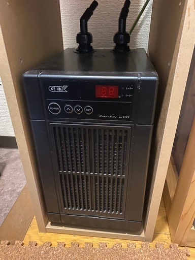 激安！！オーバーフロー水槽セット
