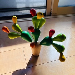 【引き取り決定】知育玩具　作業療法　バランスカクタス　手先　指先の画像