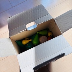 【引き取り決定】知育玩具　作業療法　バランスカクタス　手先　指先の画像