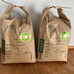 令和6年産 特別栽培 新米コシヒカリ10kg（精米済）