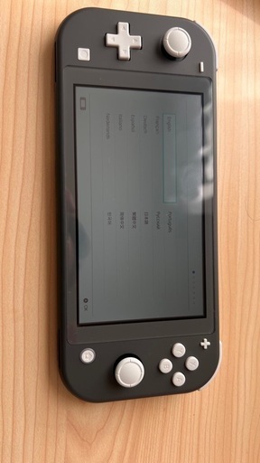 Nintendo Switch Liteグレー 【本体】純正キャリングケース