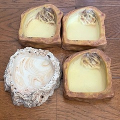 爬虫類　水飲み　レオパ　トカゲ　ヤモリ