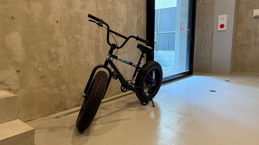 Bronx bicycle 