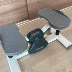 売却済みAEROLIFE エアロライフ サイドステッパー