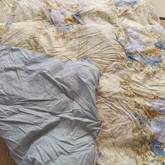 ふわふわ羽毛布団✨🐻🏝️の画像