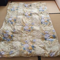 ふわふわ羽毛布団✨🐻🏝️