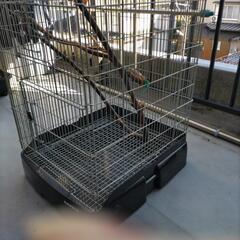 三晃のモモンガゲージの画像