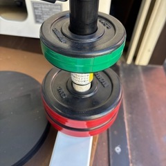 酒井医療 コンパストレーニングマシーン コンパクト トーソFLEX COP-1307Cの画像